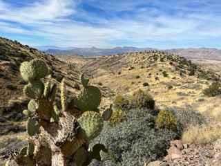 Black Hills Back Country Byway