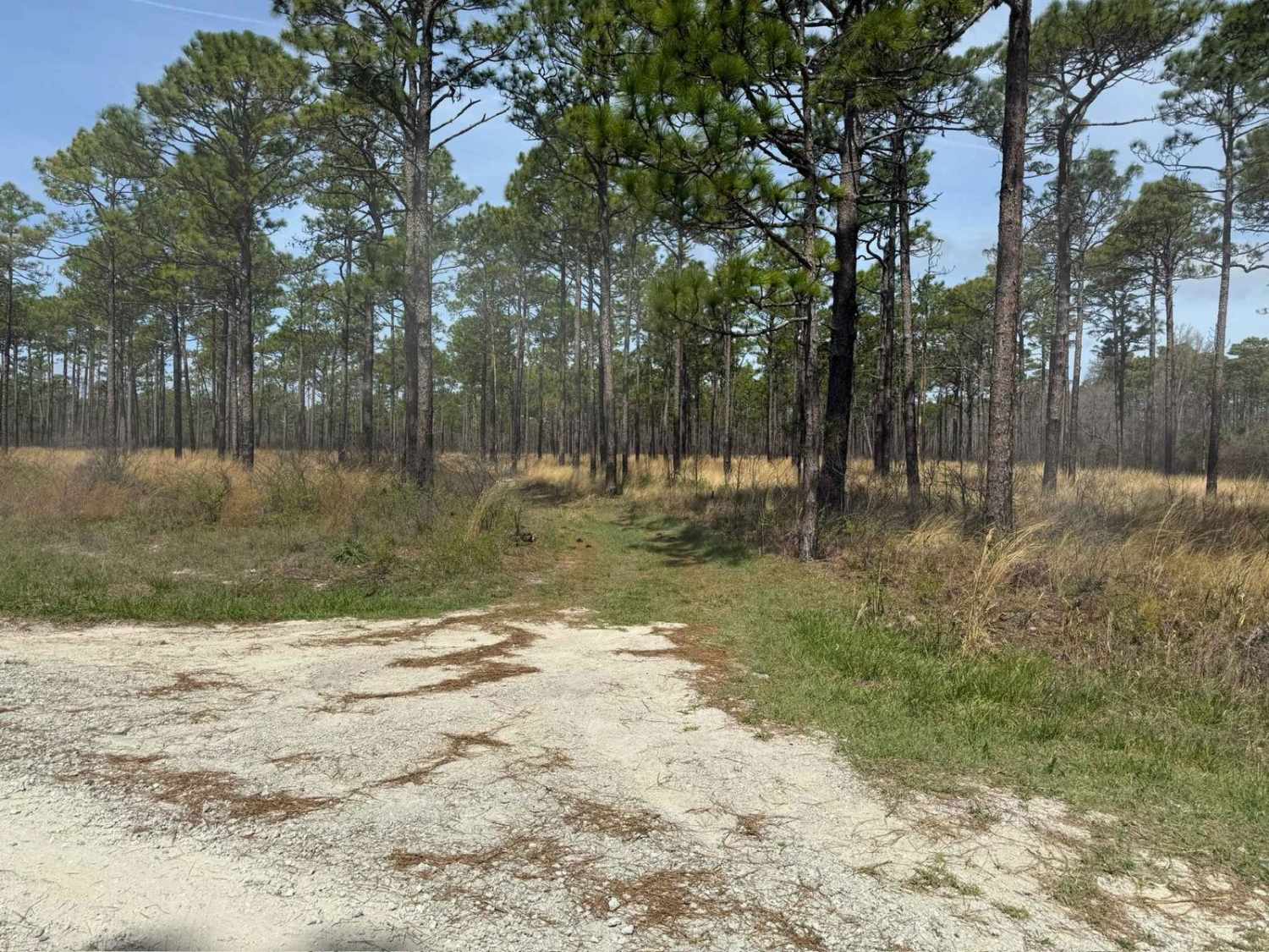 Pettiford Creek Trail 14