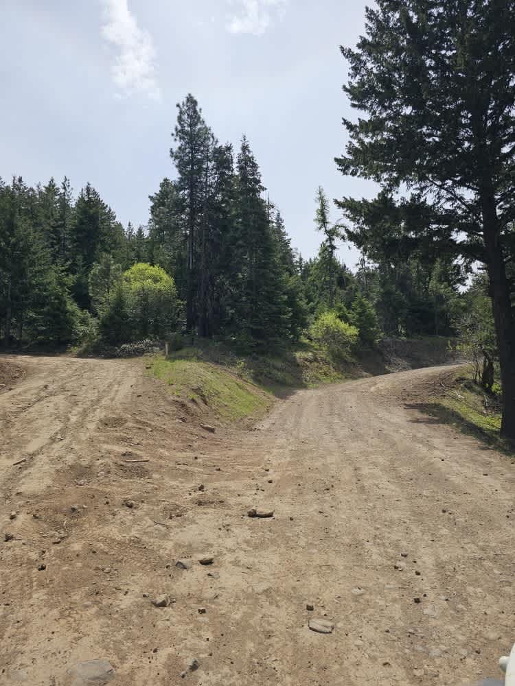 Morris Canyon - NF 629