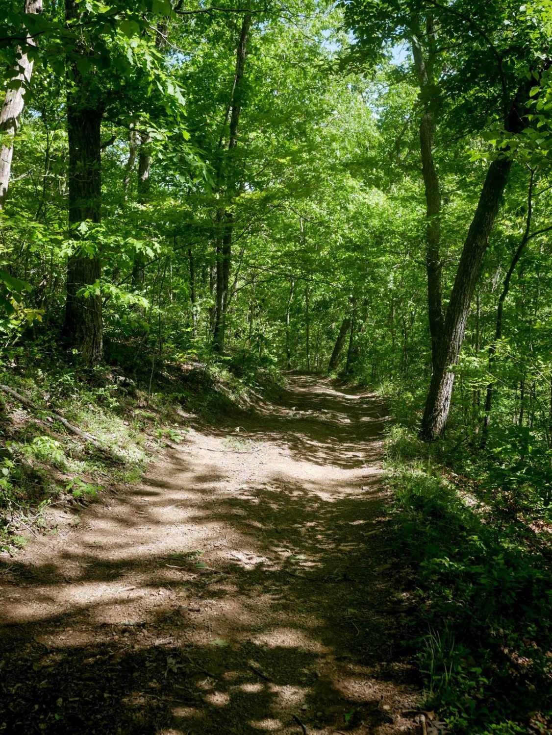 Trail 22