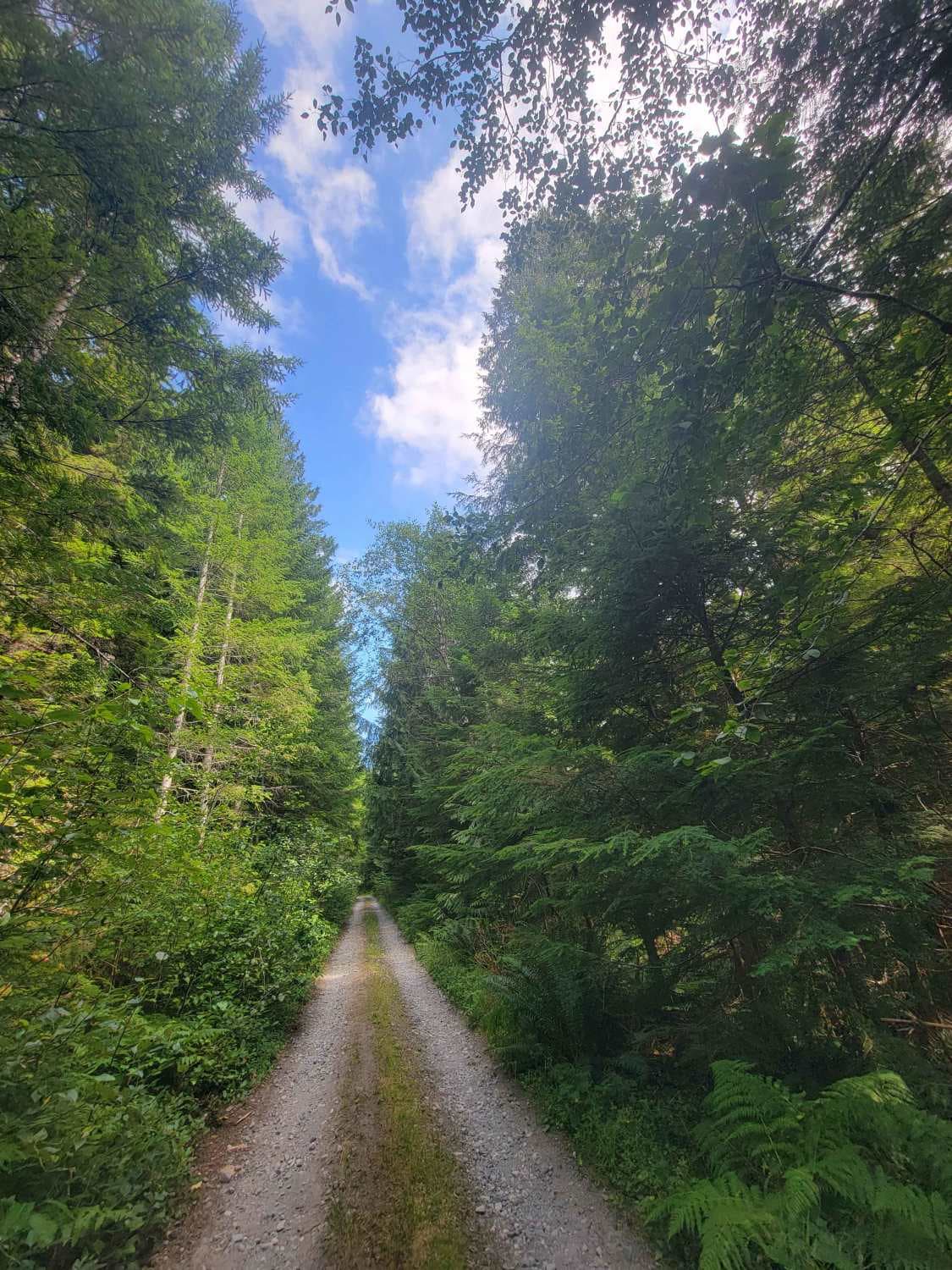Berry Falls 