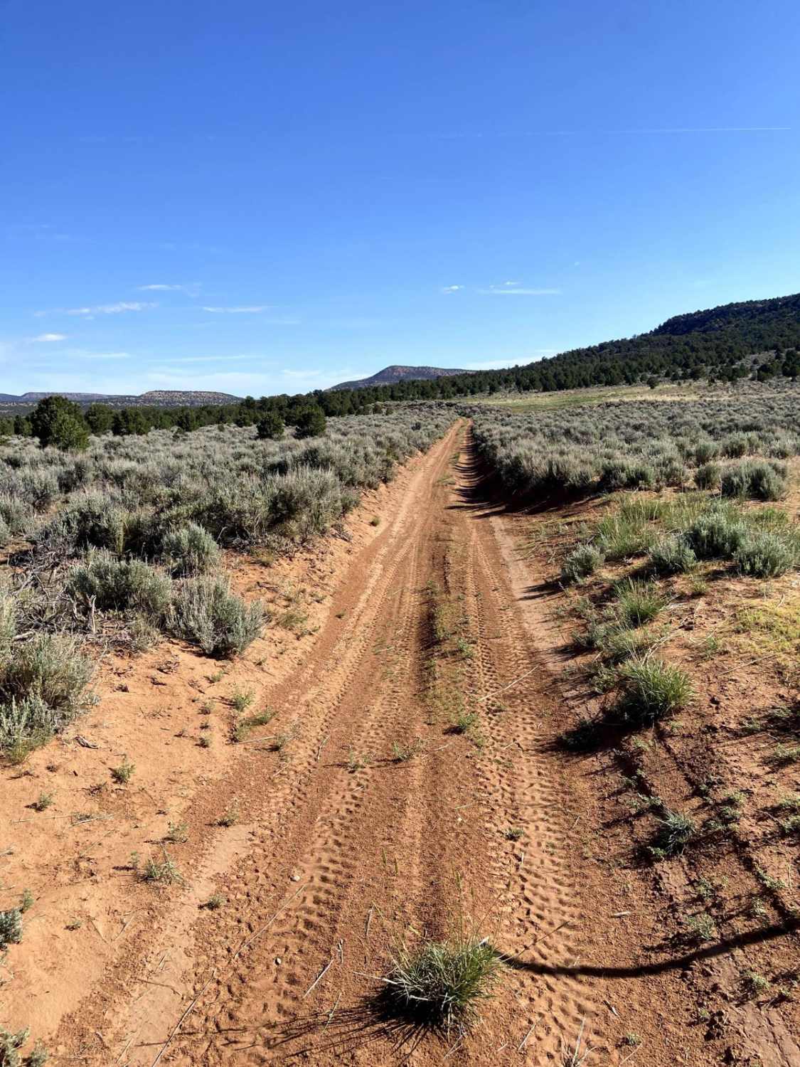 BLM Route 017