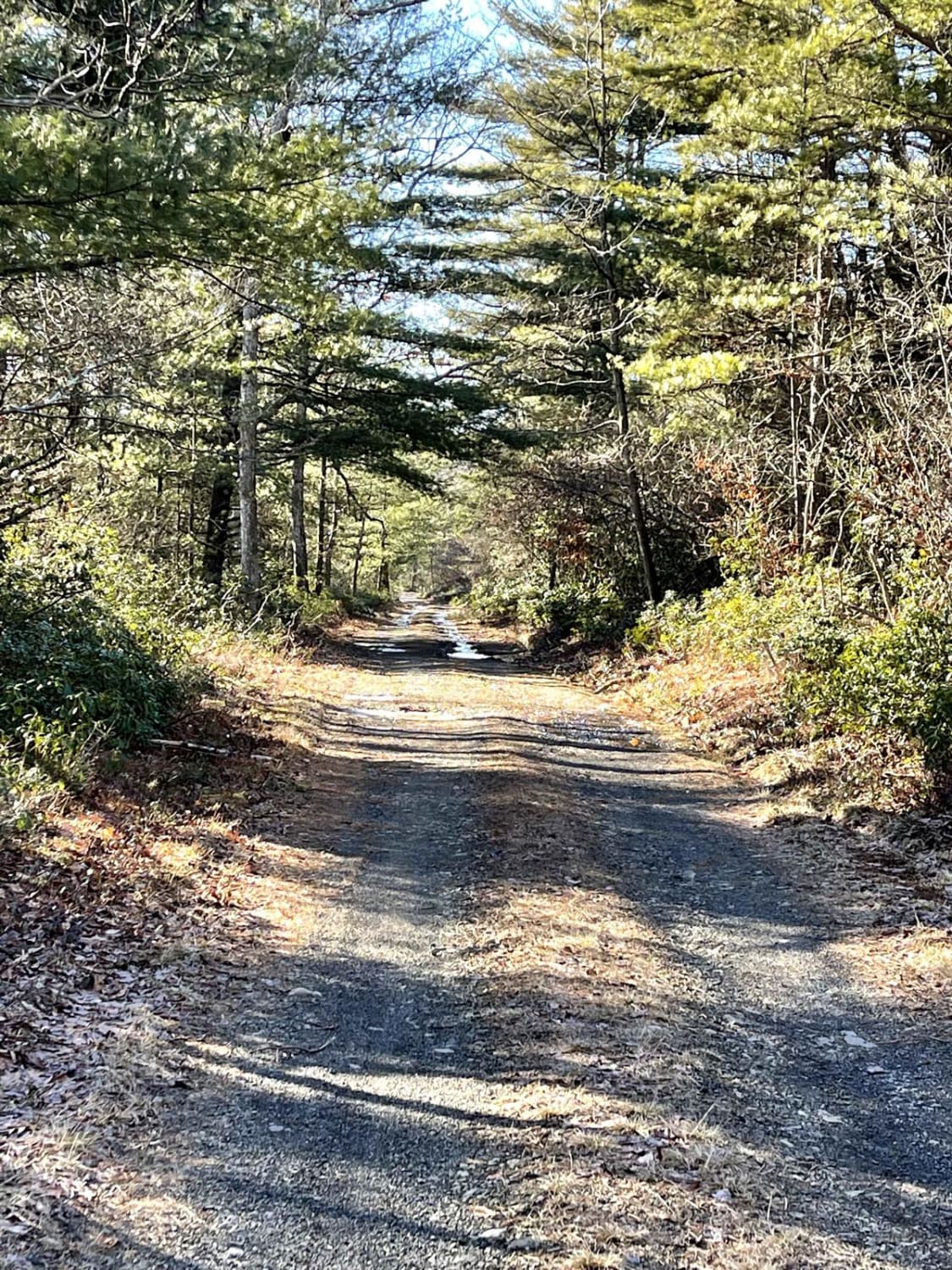 Knob Ridge Road Drivable Trail