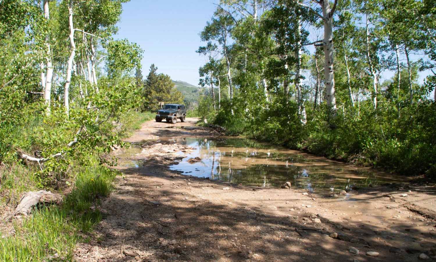 Farmington Flats