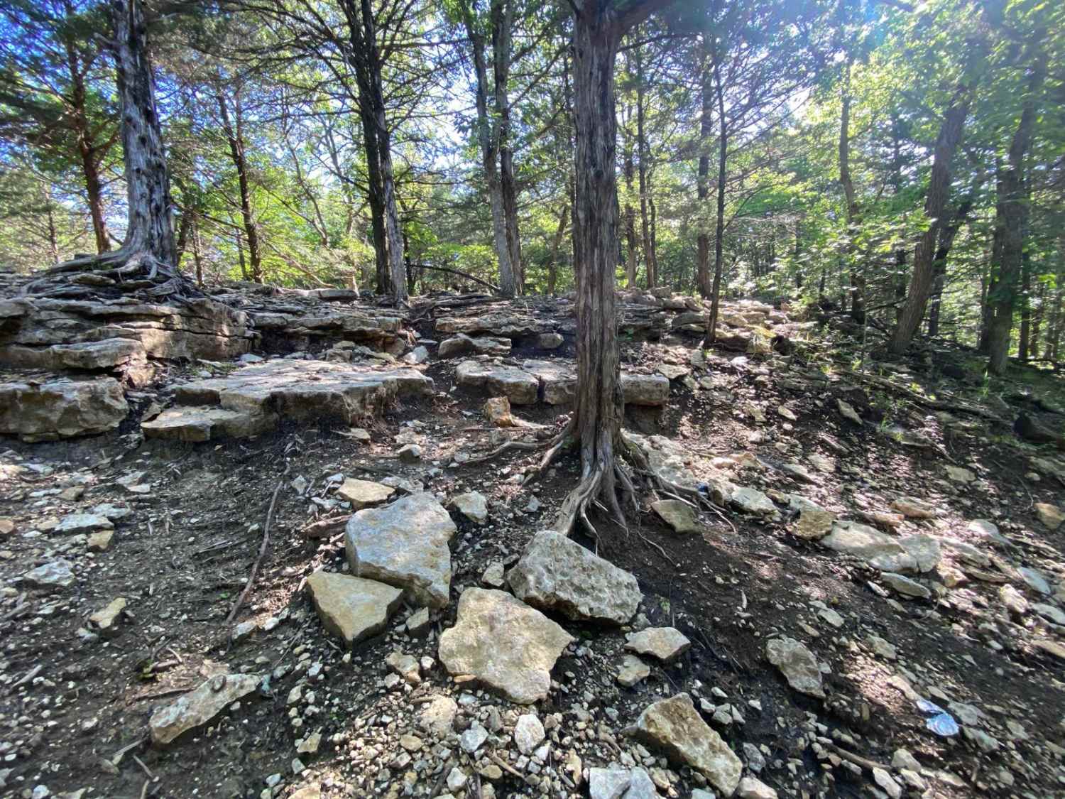 Turner's Trail