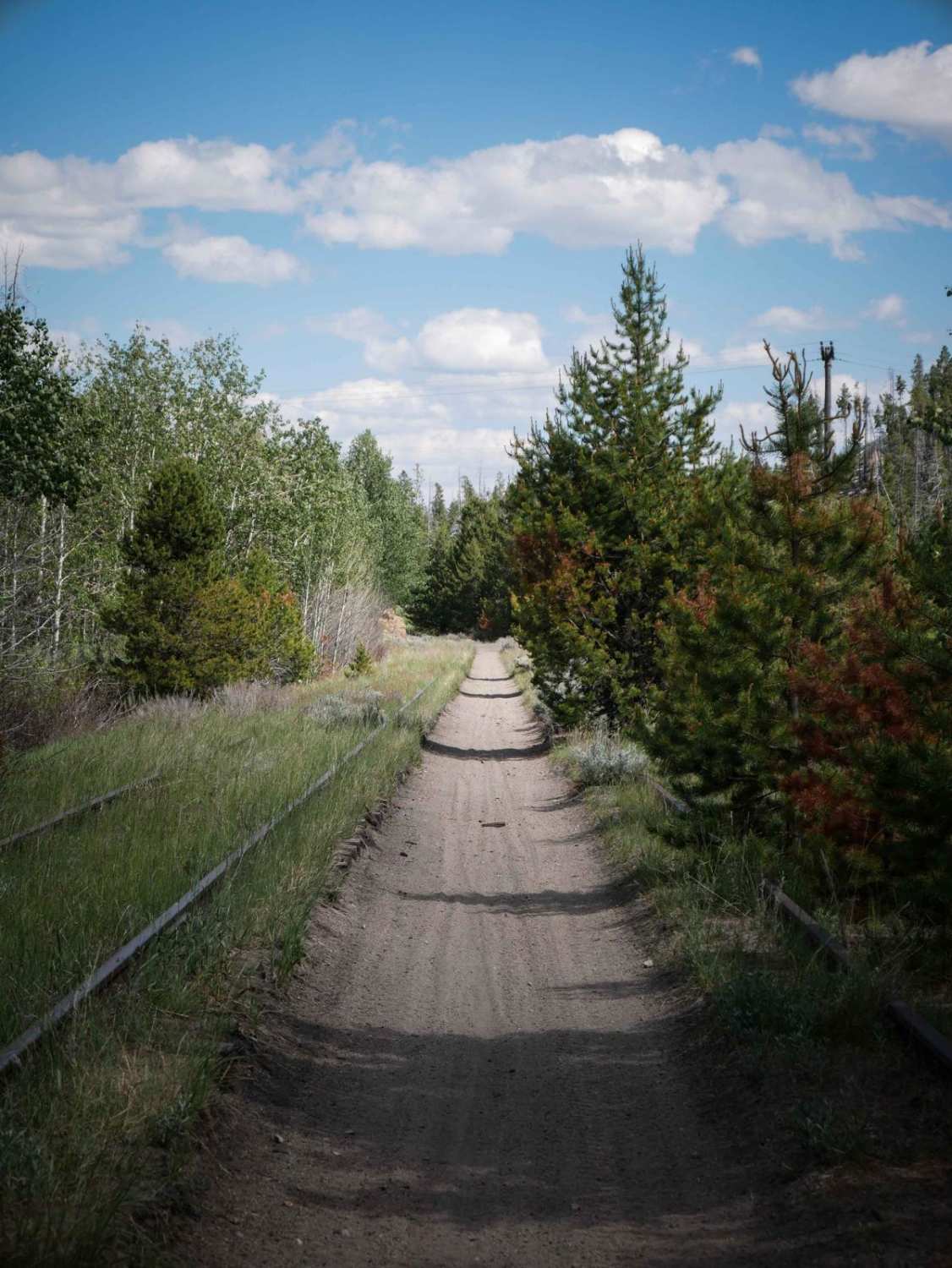 Homestake