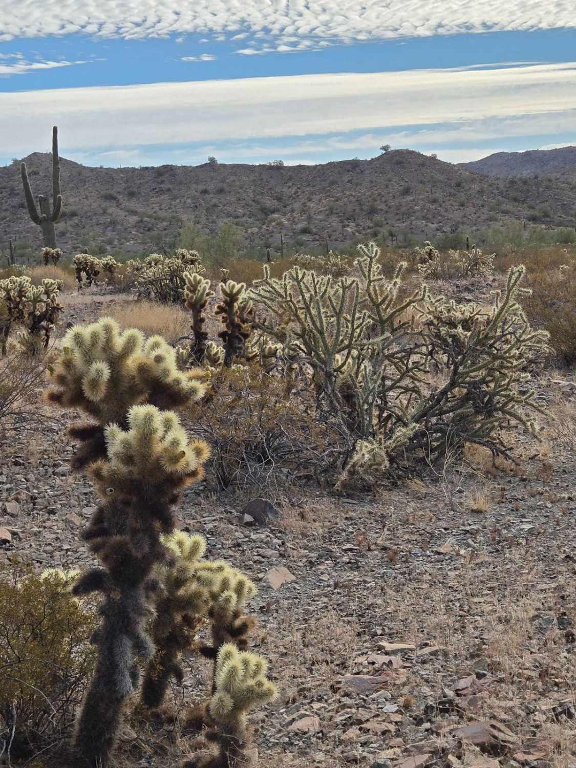 Round the Mountain Trail