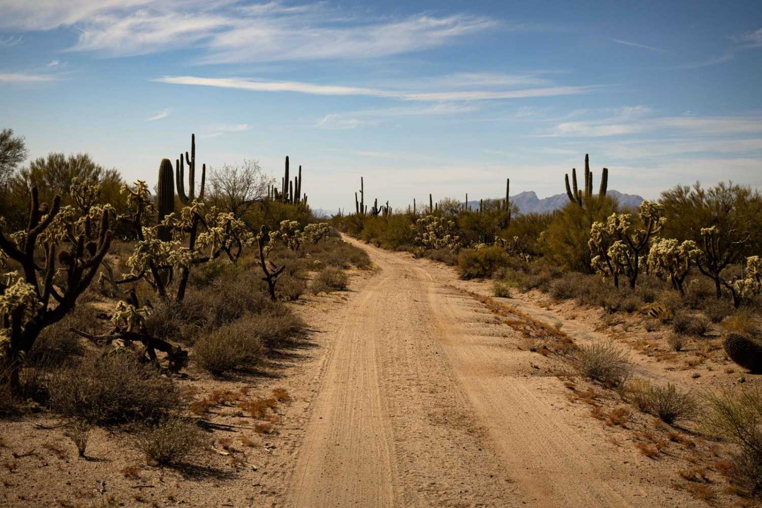 Coronado Wash Parallel