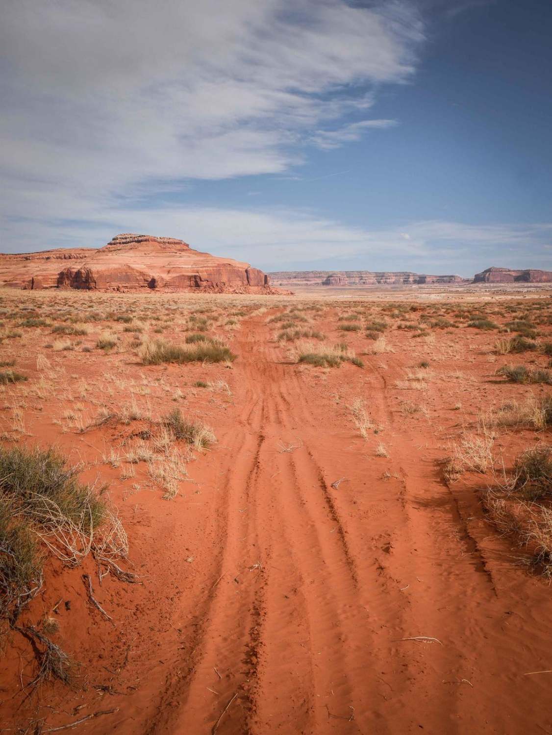 Saddle ATV Trail