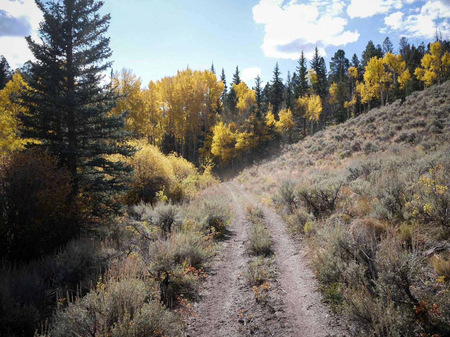 643 ATV Trail