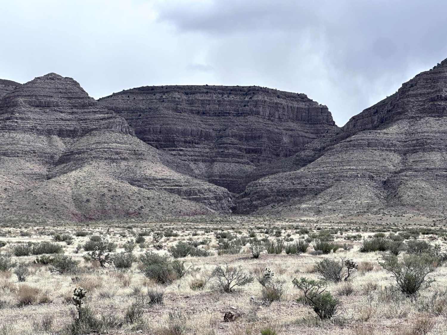 Grand Wash Cliffs - BLM 1061