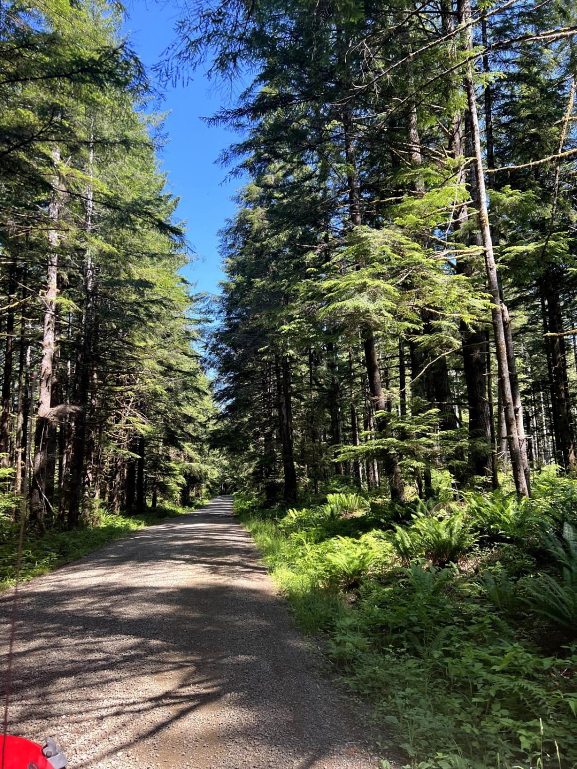 Pete's Creek Trail