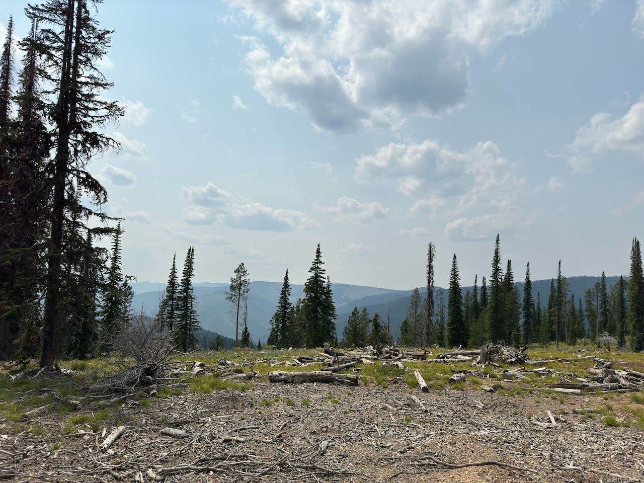 Anderson Mountain Trail