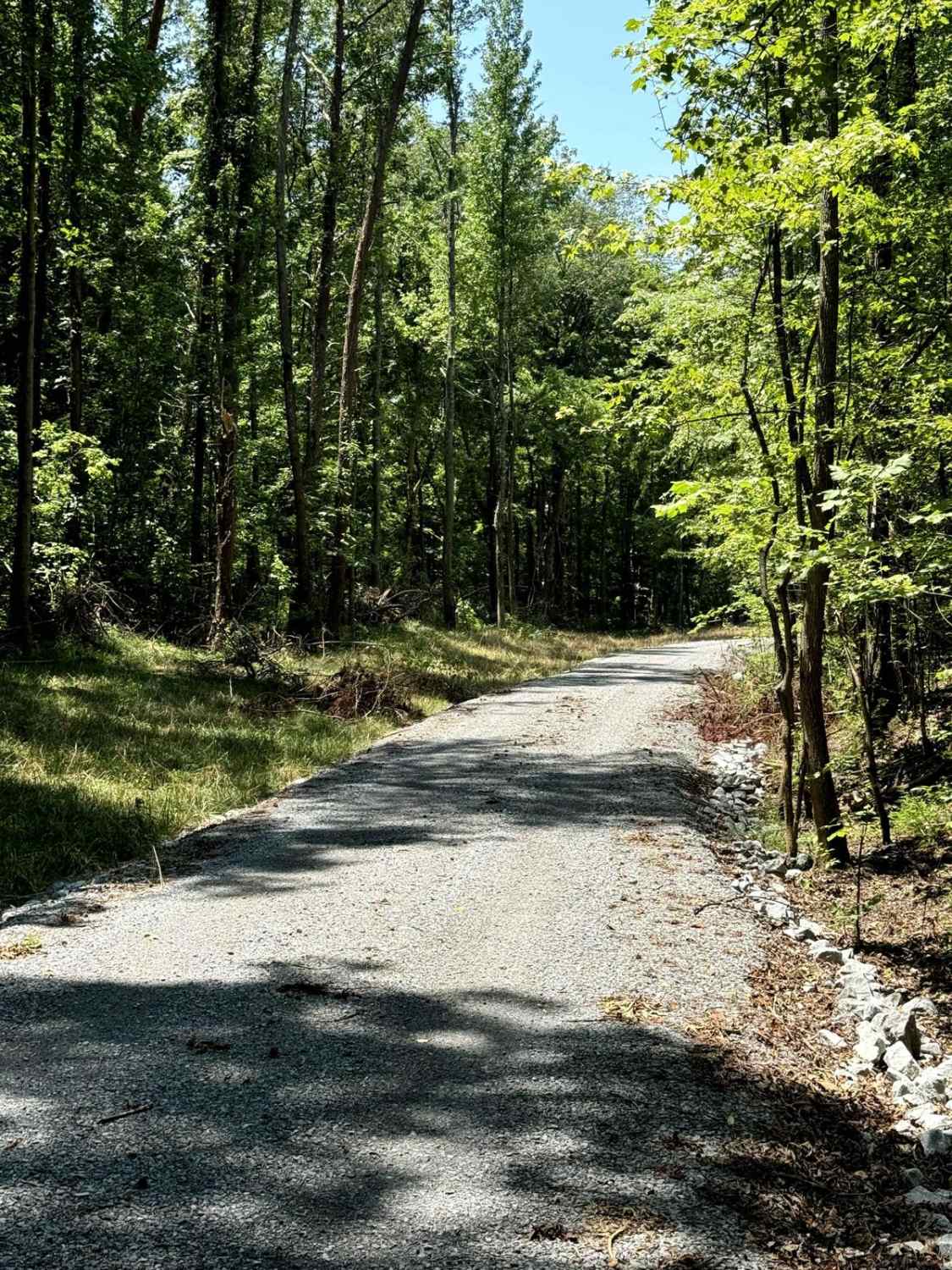 Jones Creek Road