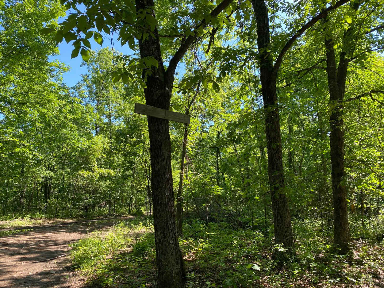Eagle Ridge