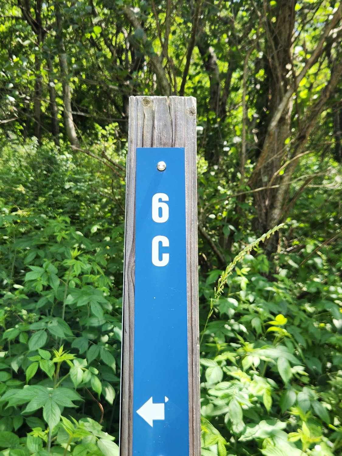 Trail 6C - Rock Run Recreation Area