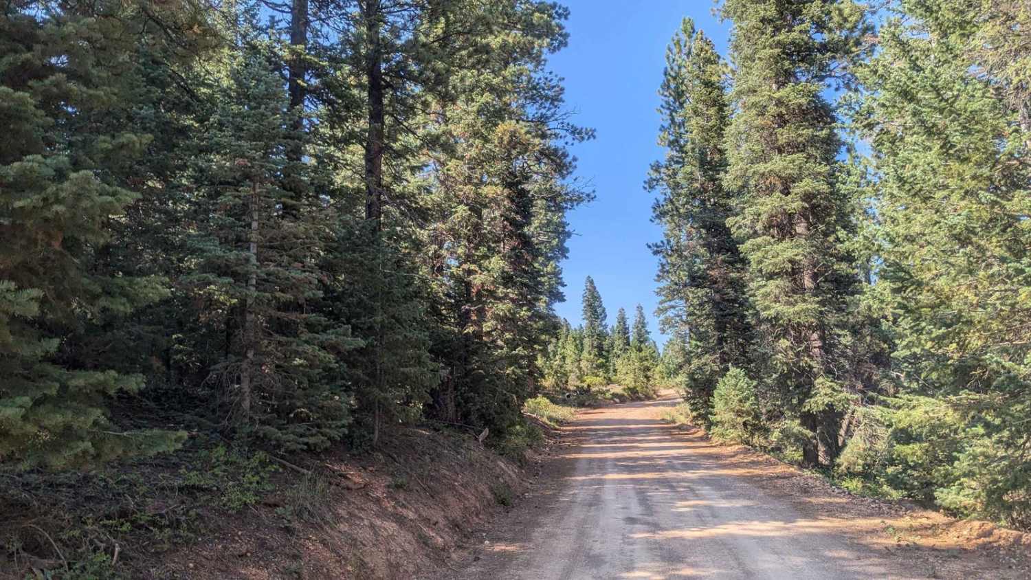 Stout Canyon Road