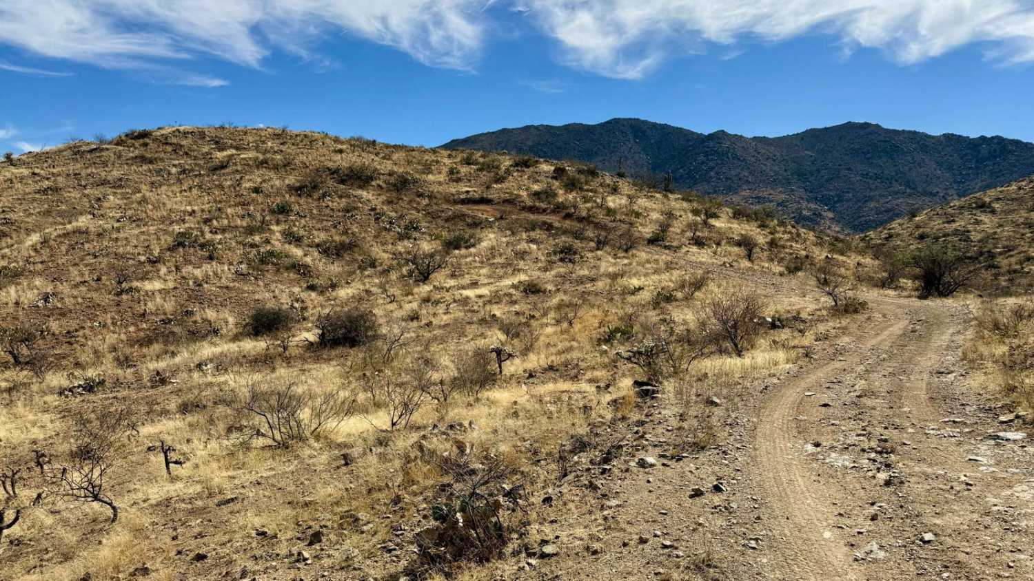 M0775 Black Mountain West Loop