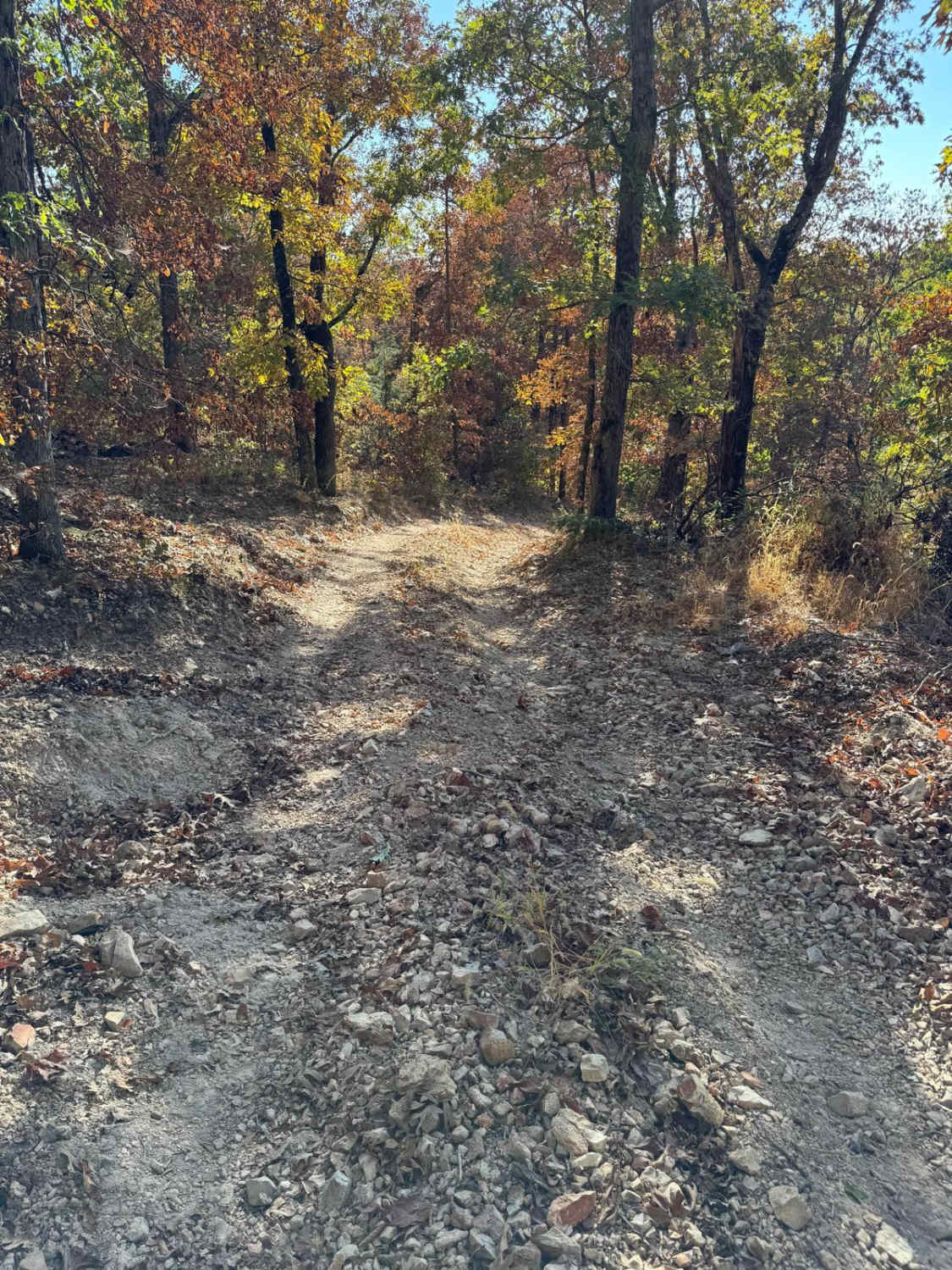 Power Wagon Trail 75