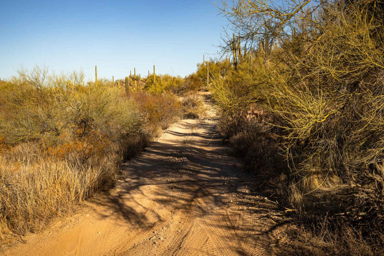 Junction to Middle Mountain