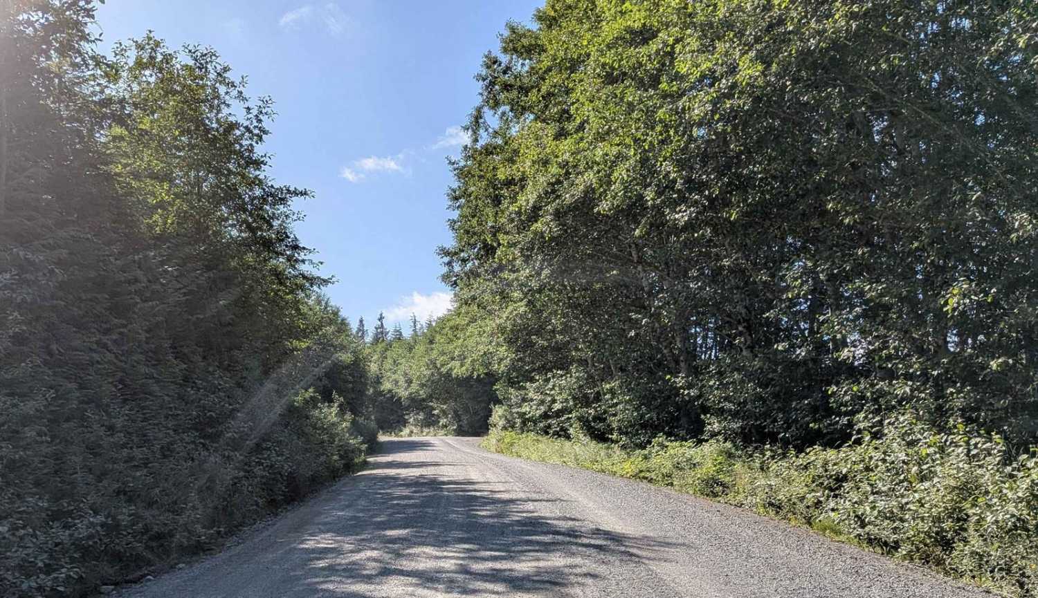 Holberg Main