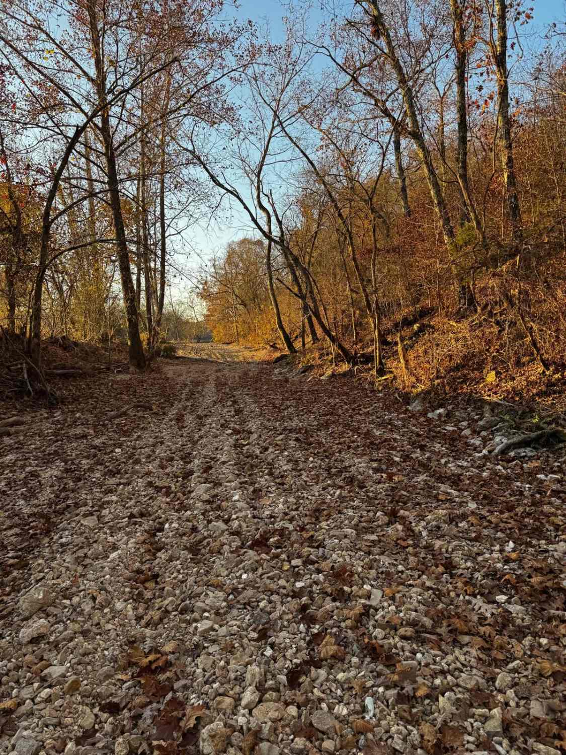 Main Creek