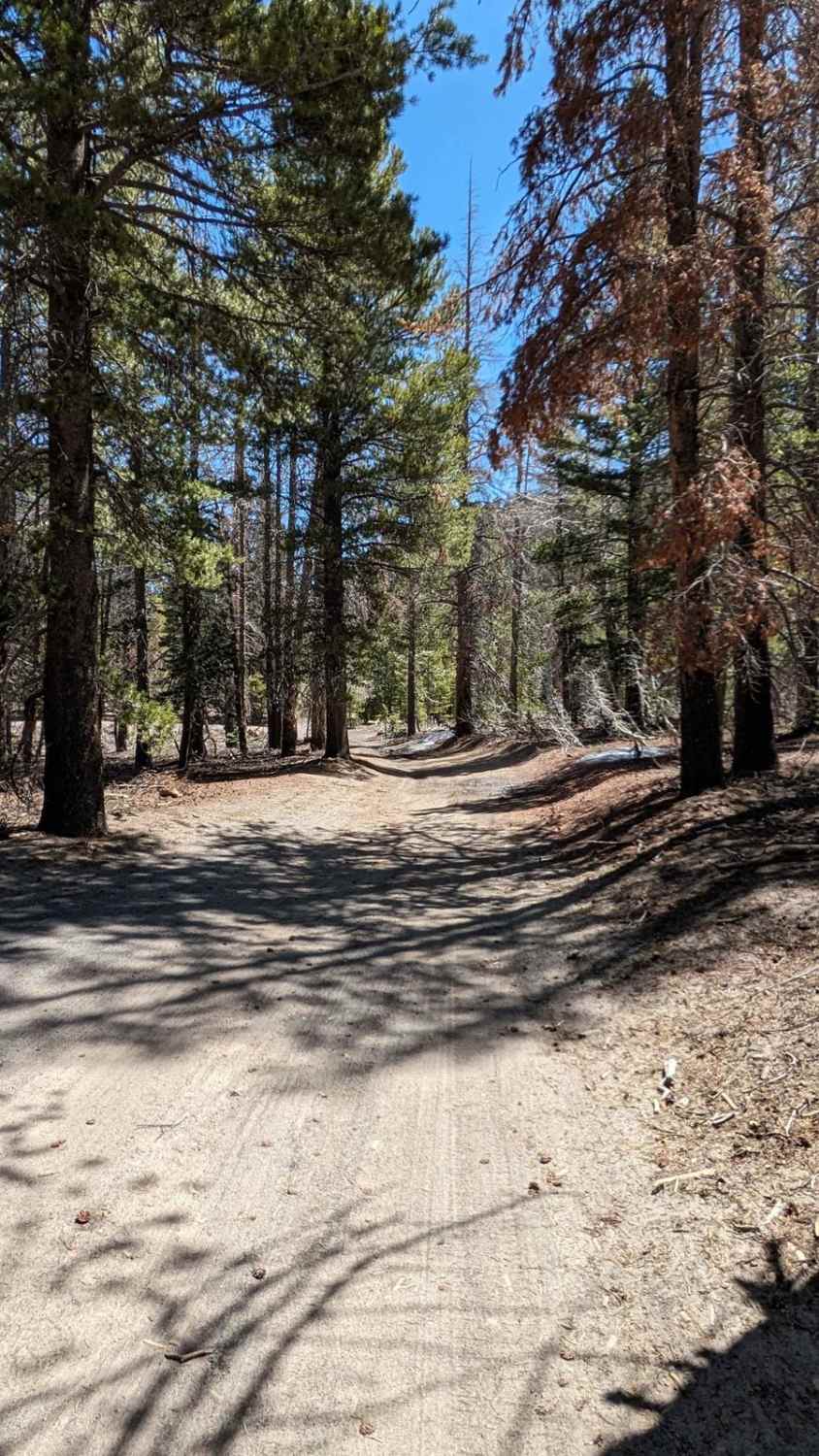 Nyo Crater Road