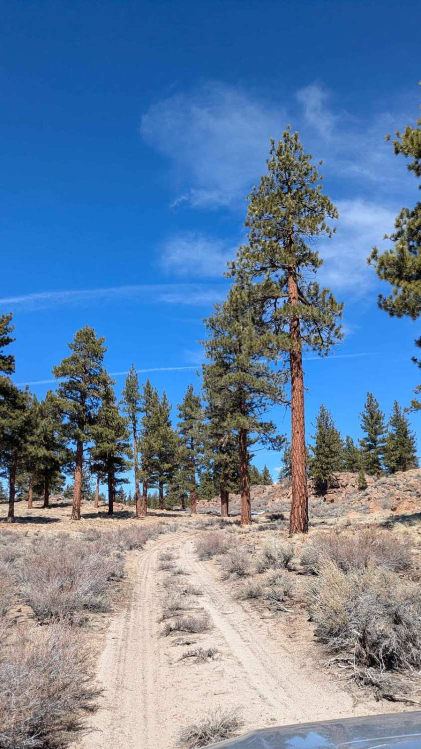 Round Mountain Loop - FS4S55