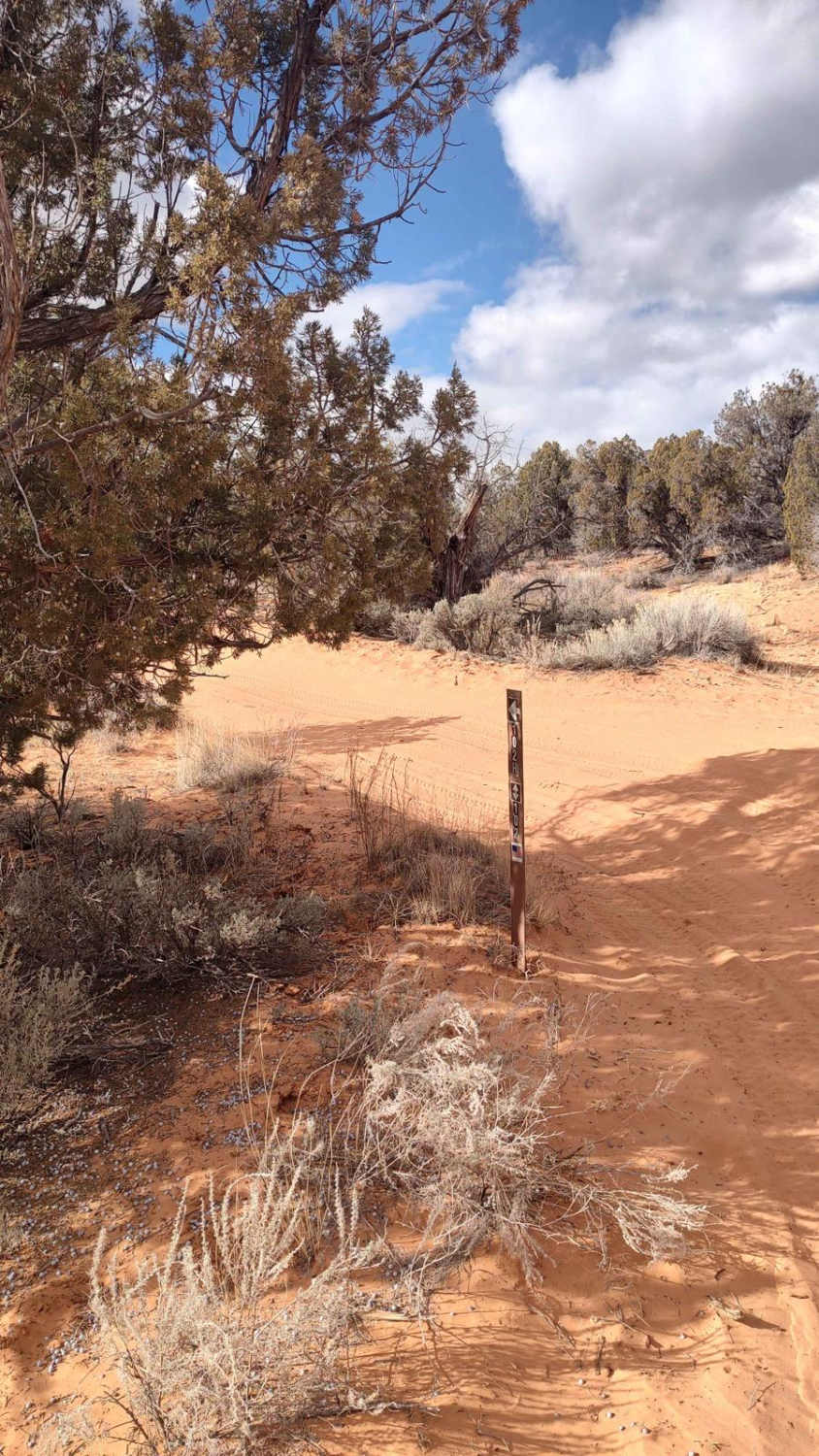 BLM 102H (Offshoot of White Tower Trail)
