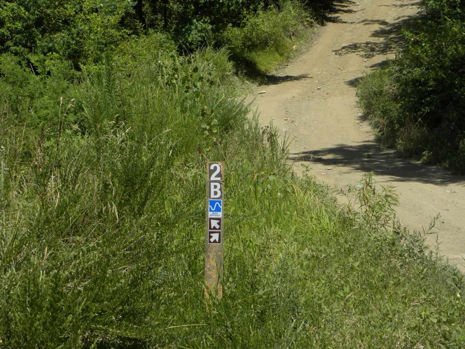 Trail 2B