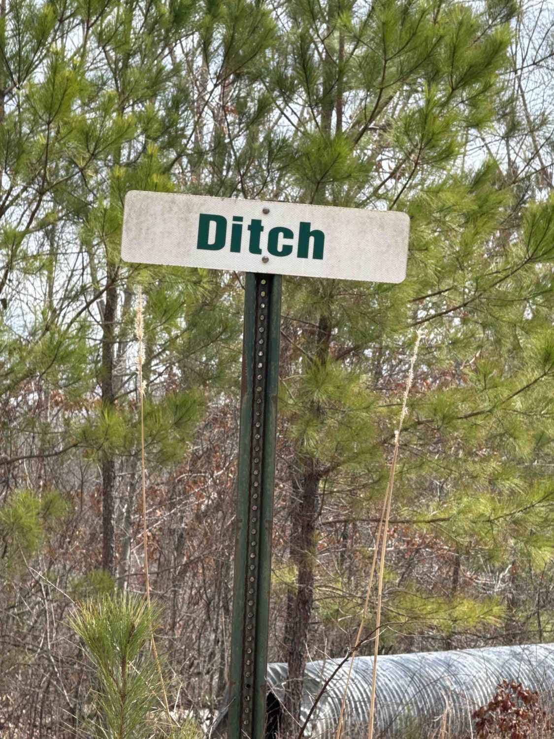 #73a Lower Ditch