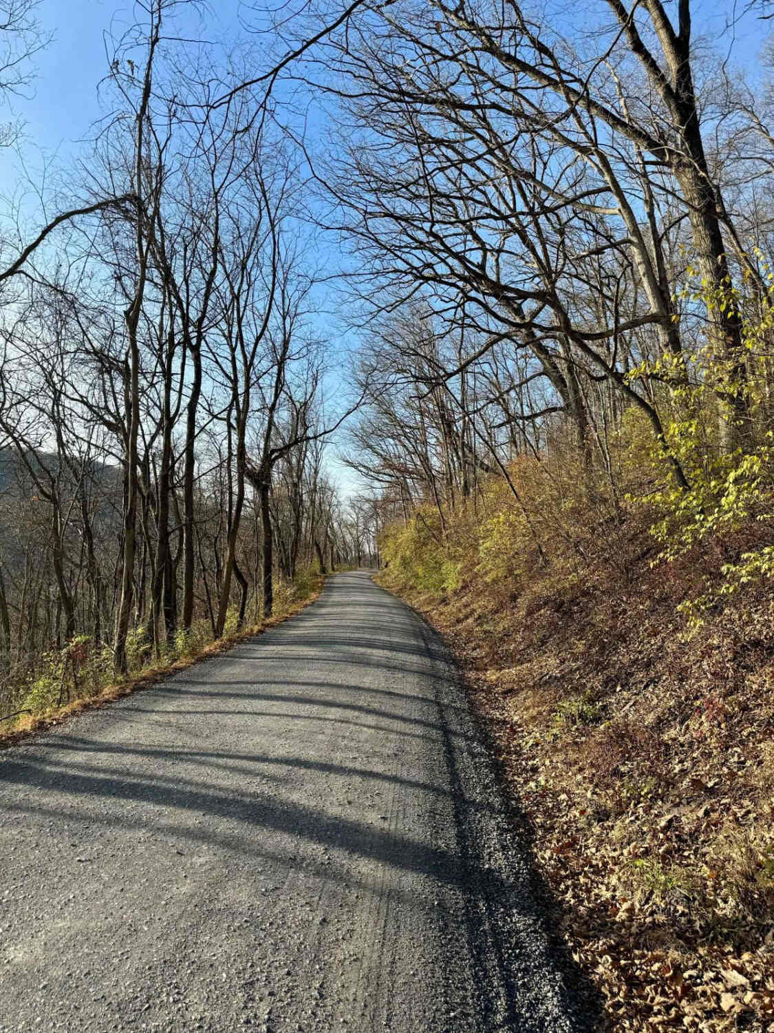 Beech Creek Road