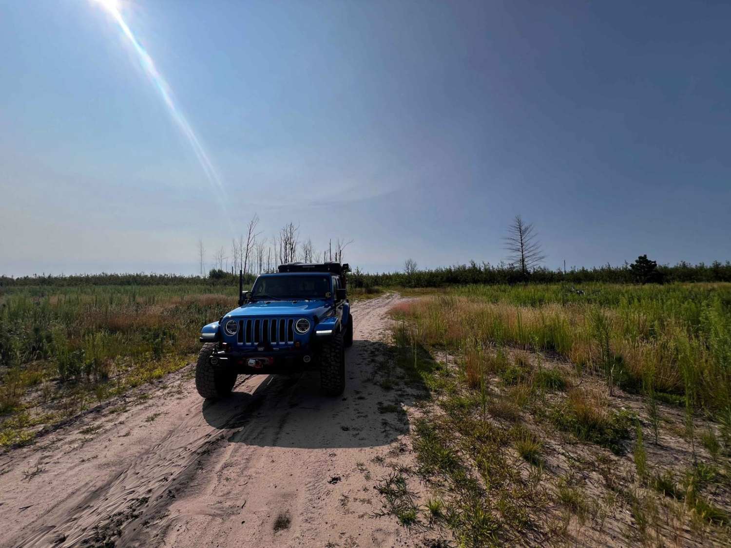 Tree Tundra Trail