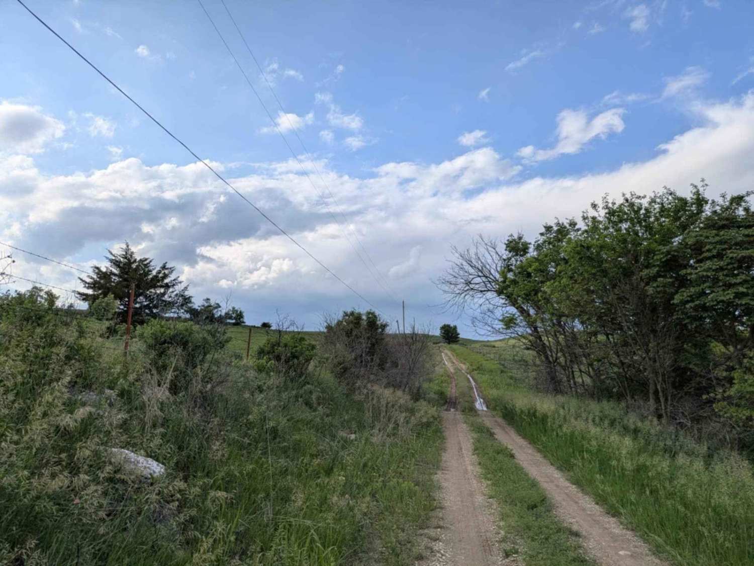 Christy Road