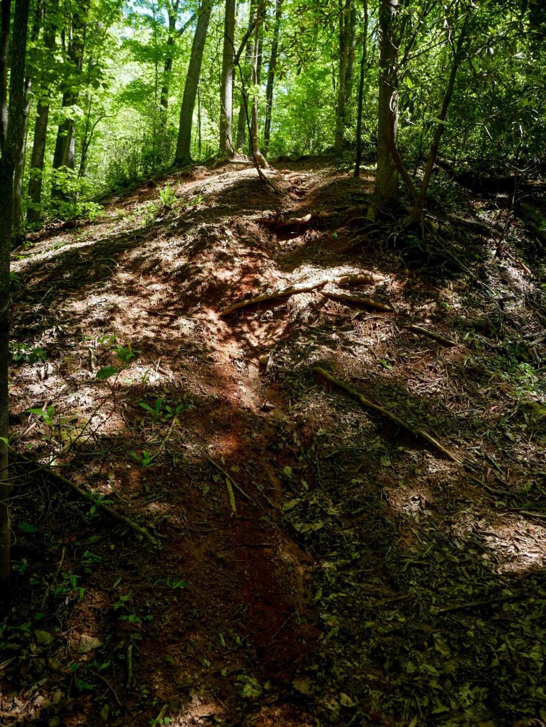 Stage 7 