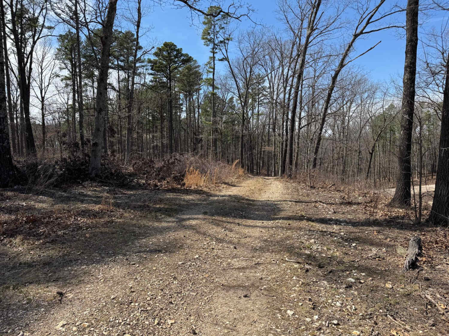 Prieskon Hollow - FSR 143