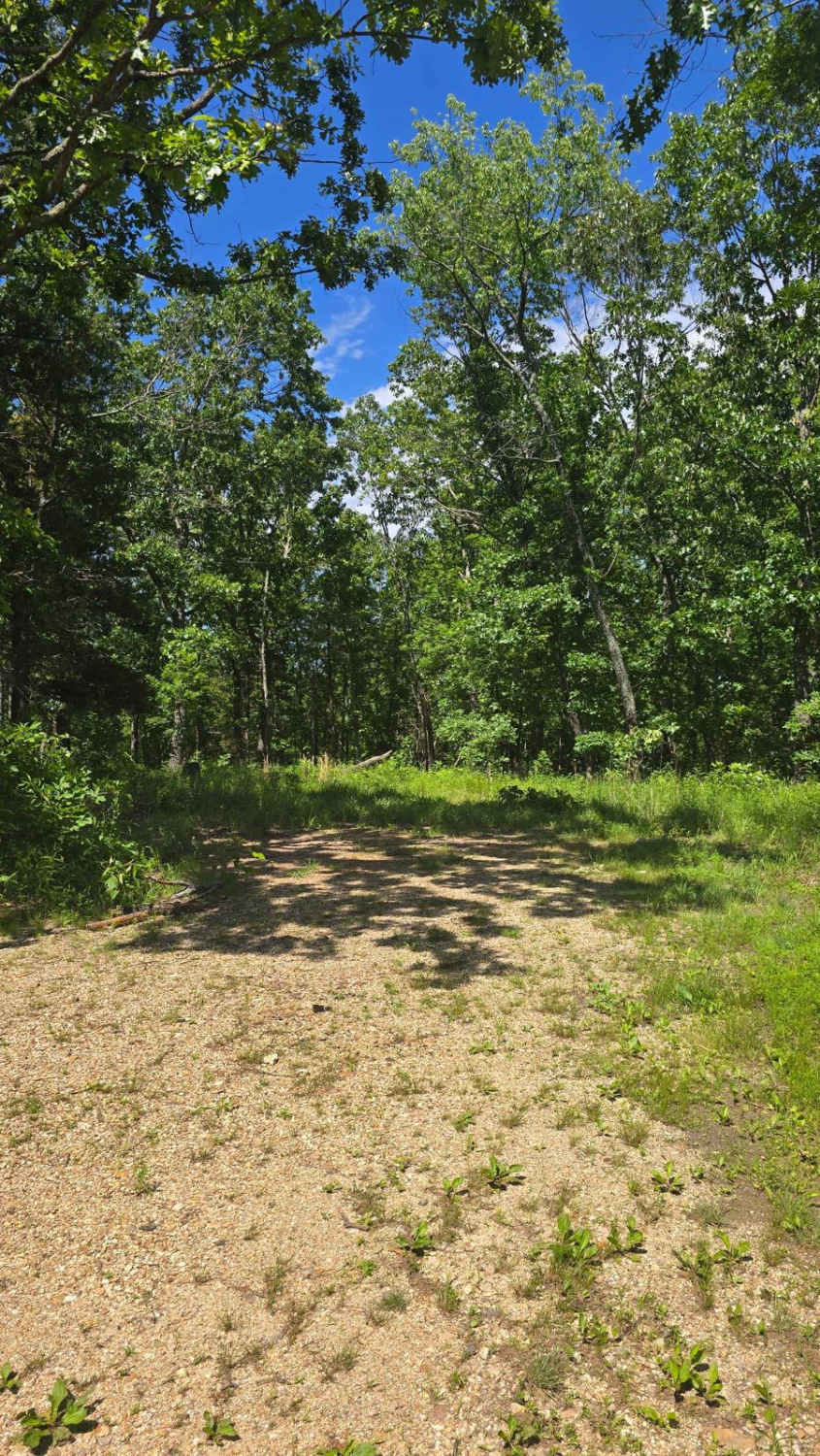 West Star Flatwoods - FS 1571
