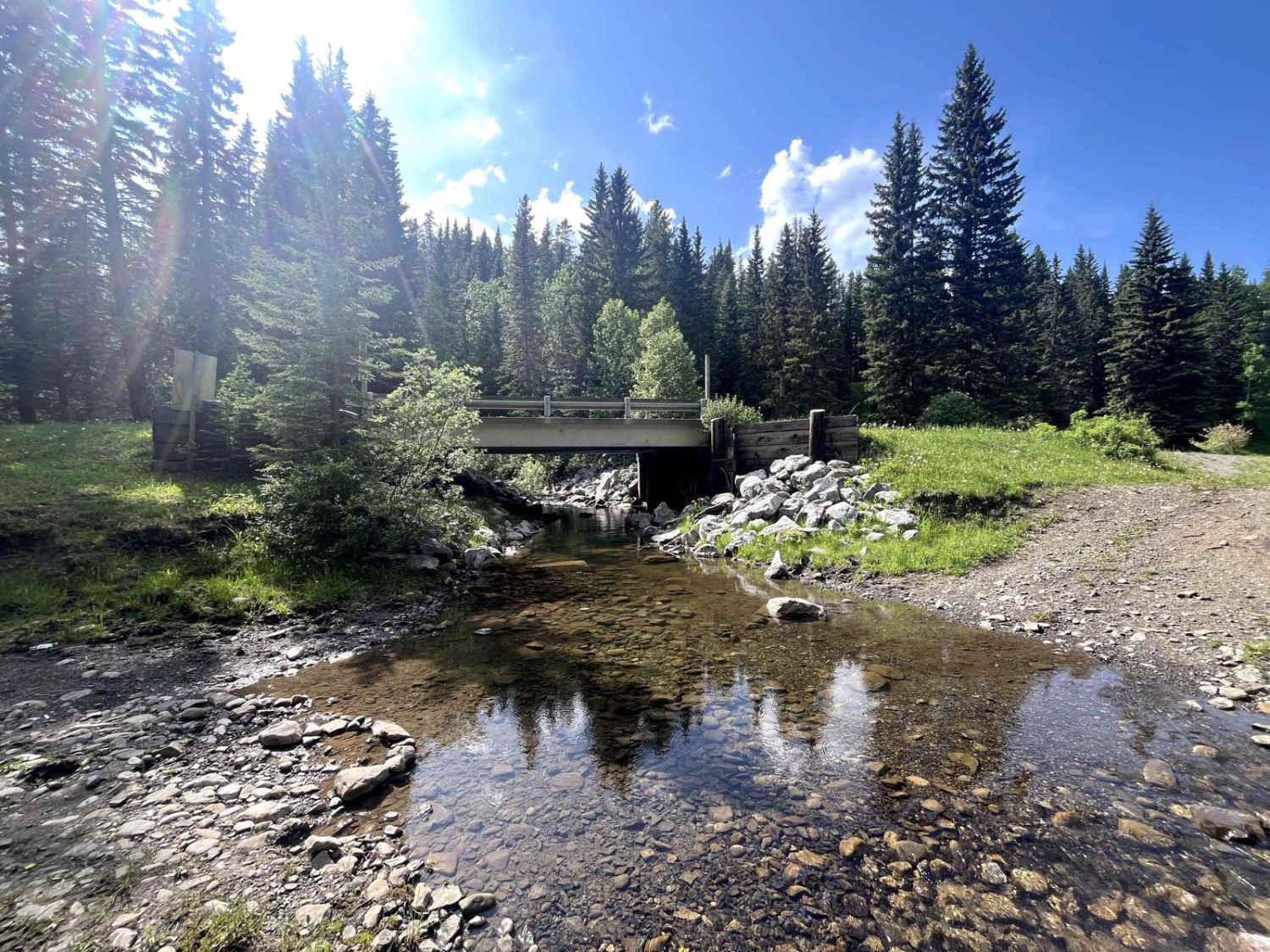 McLean Creek Trail