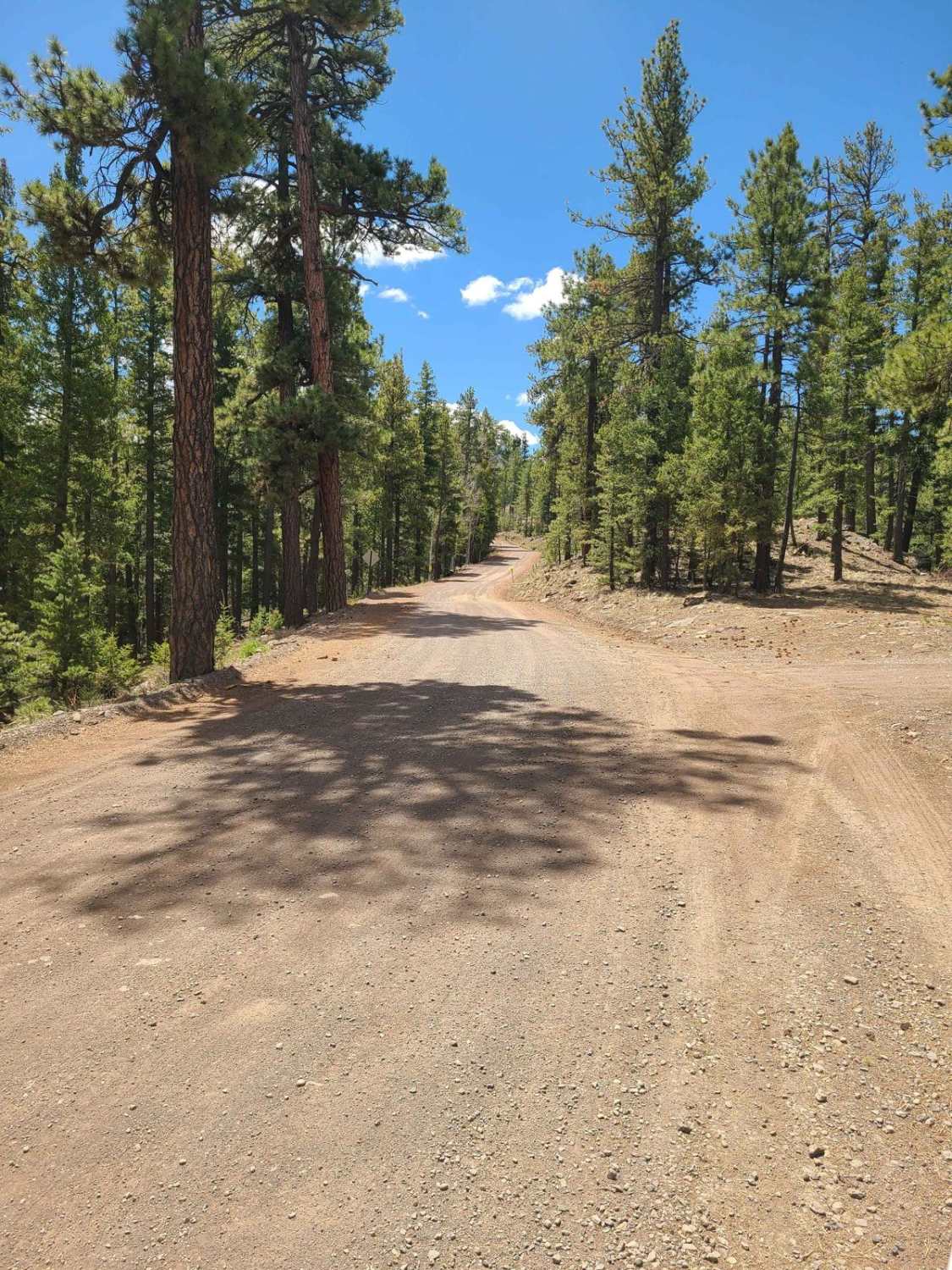 Forest Service Road 87