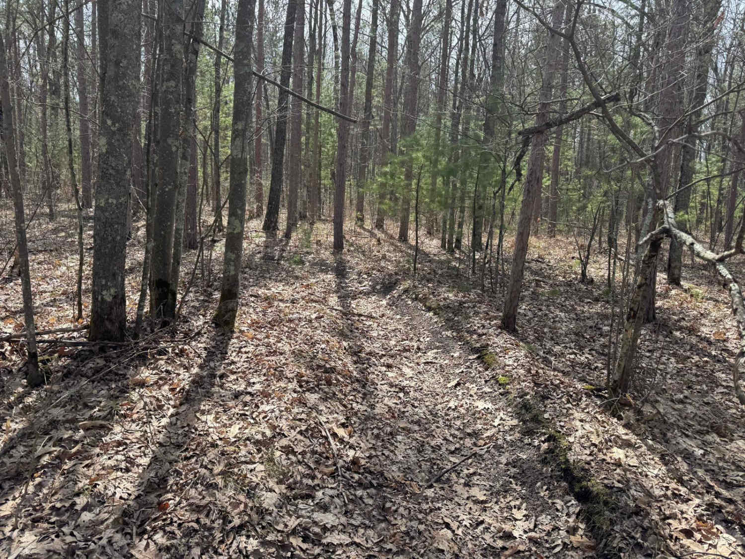 Grand Traverse West Spur