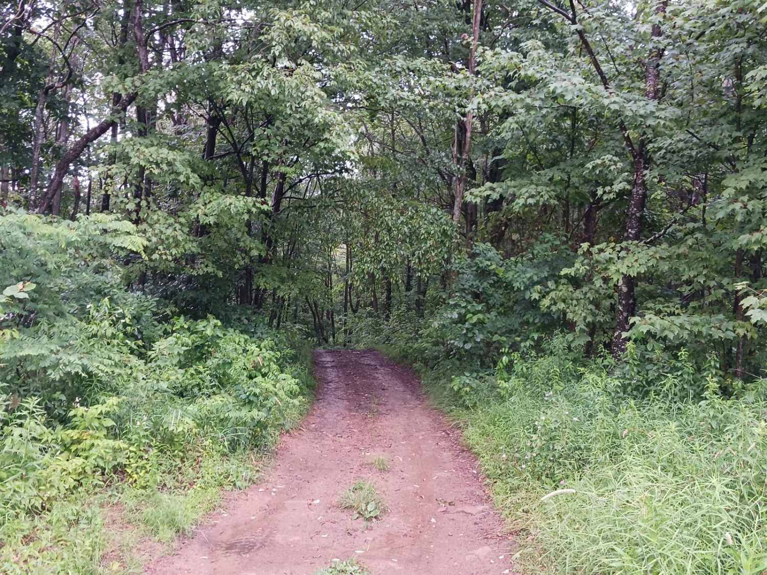 Trail 3A - Rock Run Recreation Area