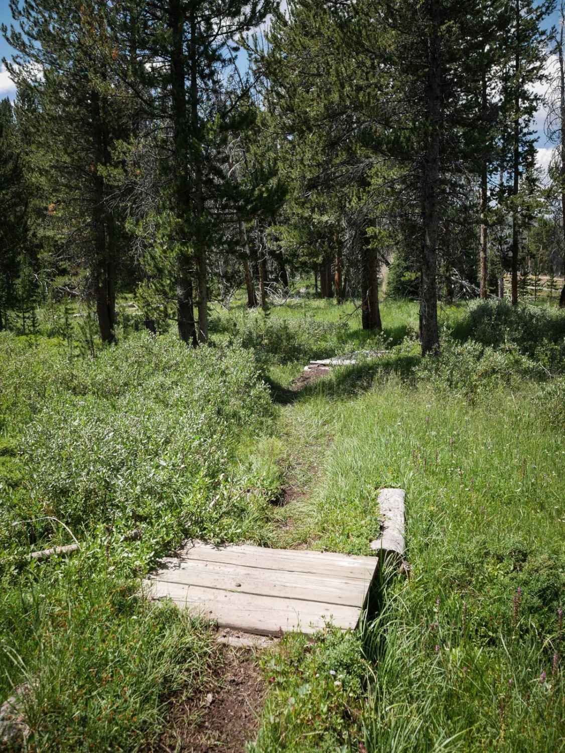 Little Basin Cutoff 