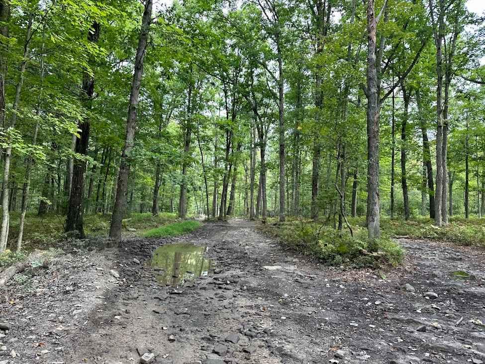 Jason's Journey Green