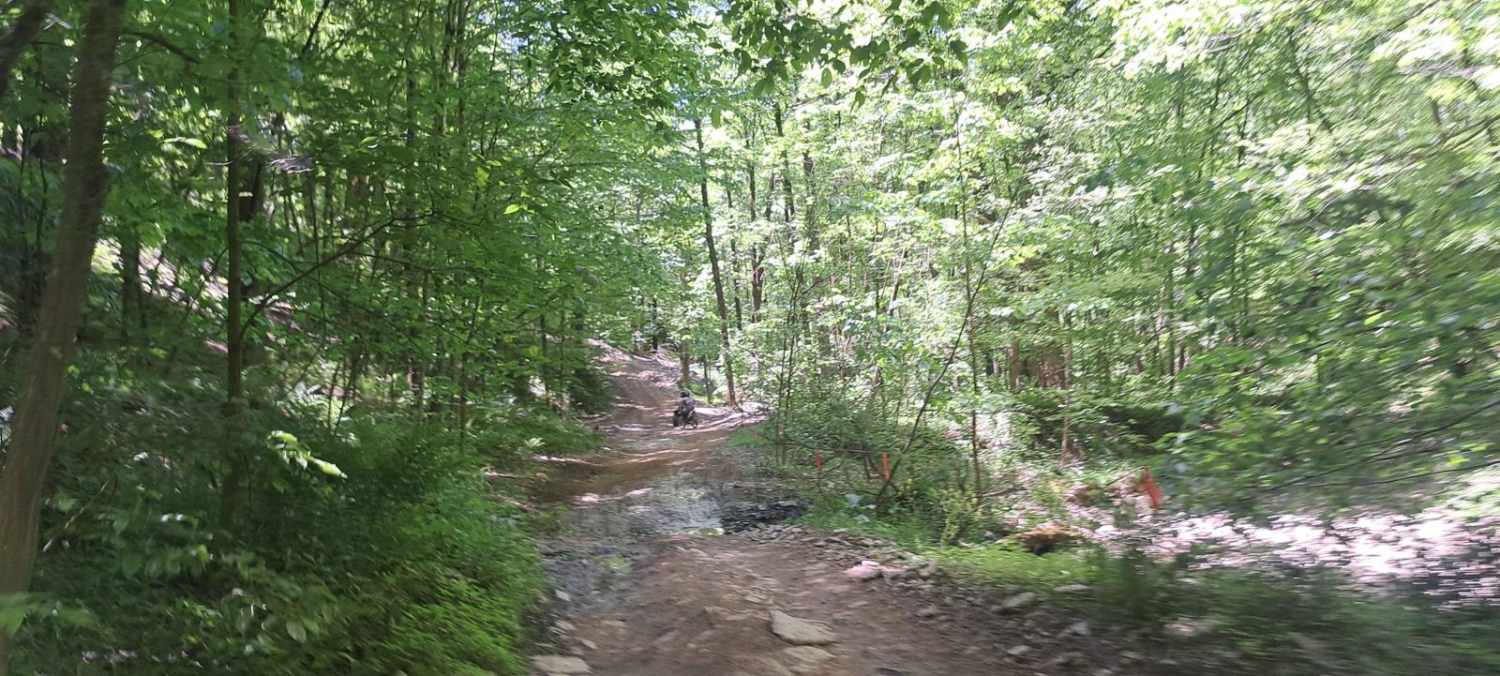 Jones Town Creek 