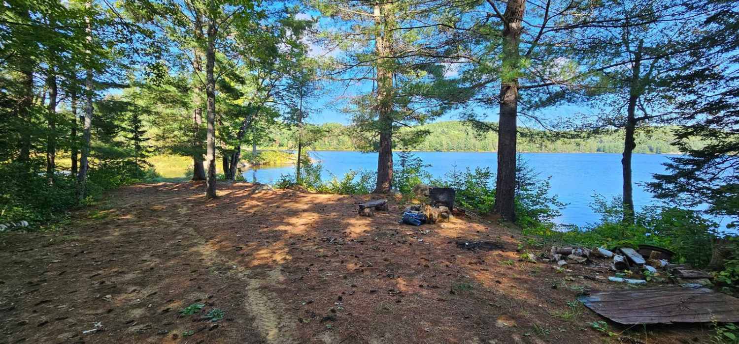 Kelly Lake Trail