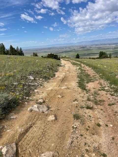 Miller Trail #2496