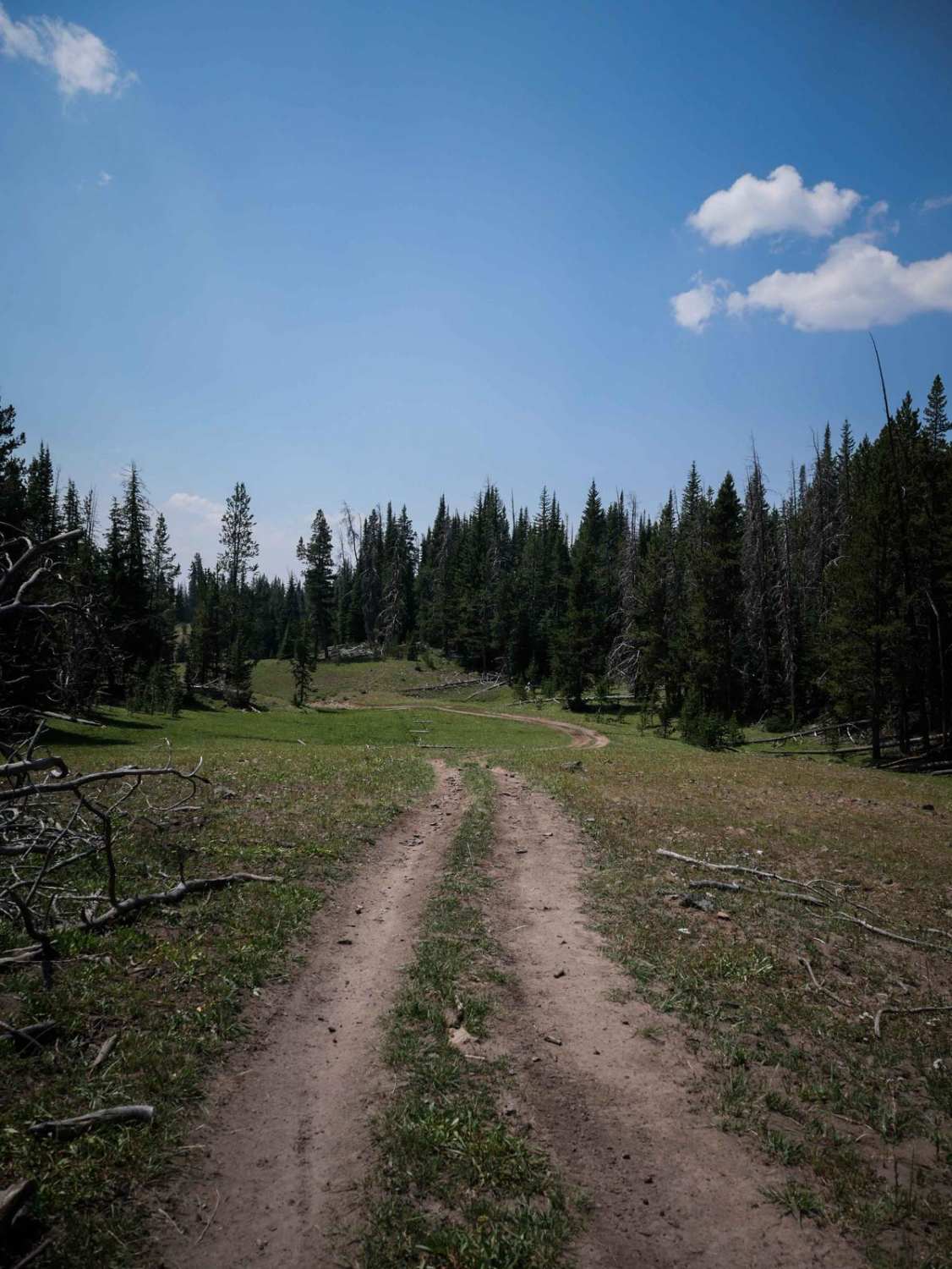 Beef Pasture ATV 