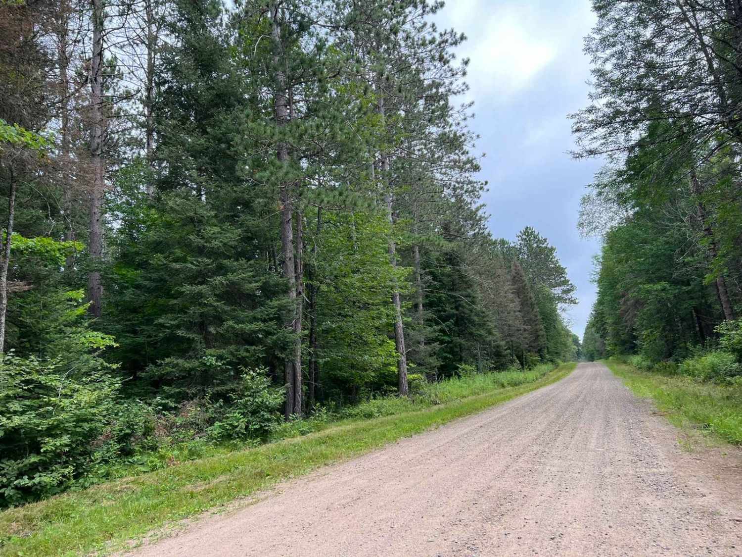 Burnt Bridge Road - FS 2695