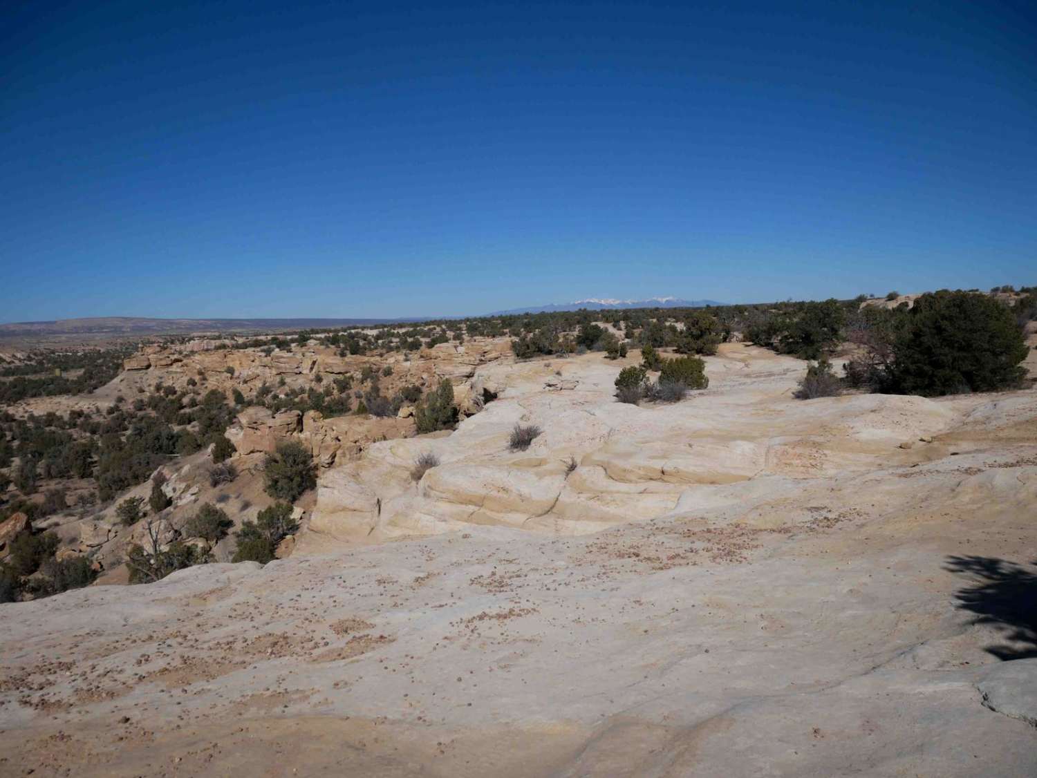 Arch Trail 