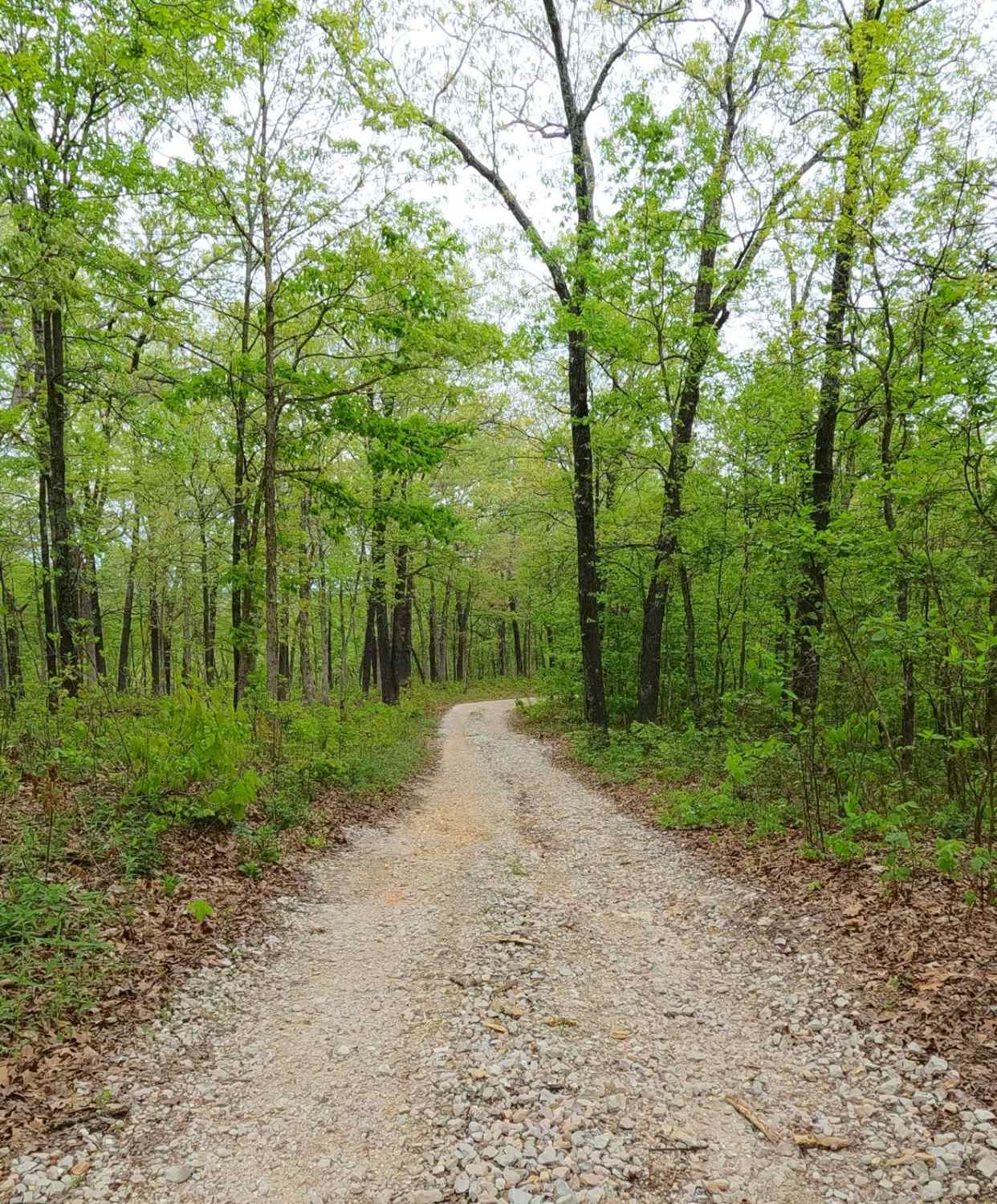 James Branch - FS 2741